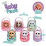 DEXY CO BABY PAWS TINY CDU 12 - slika 2