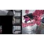 MERIDIEM PUBLISHING PS5, Kong: Survivor Instinct - Titans Edition - slika 3