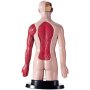 Milla Toys Lutka Ljudski torzo 95/35006 - slika 3