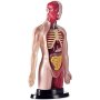 Milla Toys Lutka Ljudski torzo 95/35006 - slika 4
