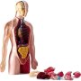 Milla Toys Lutka Ljudski torzo 95/35006 - slika 5