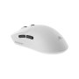 WHITE SHARK Maximus GM 9010 Beli - slika 5