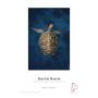 Hahnemuhle FineArt Baryta Foto papir 10x15cm 30kom - slika 1