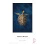 Hahnemuhle FineArt Baryta Foto papir A4 25kom - slika 1