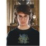 Dodo Puzzle Harry Potter 104/200576 - slika 2