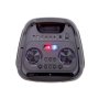 Xwave Party 1024 Bluetooth zvučnik TWS/100W/FM/USB/TF/AUX/2 x 10''/LED color - slika 3