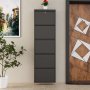 HANAH HOME Ormar za cipele Locking 5 Piece Metal Anthracite - slika 2