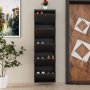 HANAH HOME Ormar za cipele Locking 5 Piece Metal Anthracite - slika 5