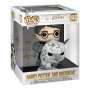FUNKO POP! Rides DLX: Harry Potter - Harry & Buckbeak - slika 1