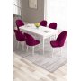 HANAH HOME Set Trpezarijski sto i 6 stolica Roz White Damson - slika 1