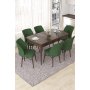 HANAH HOME Set Trpezarijski sto i 6 stolica Nef Baroque Khaki - slika 1