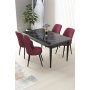 HANAH HOME Set Trpezarijski sto i 4 stolice Nil Black Marble Burgundy - slika 1