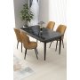 HANAH HOME Set Trpezarijski sto i 4 stolice Nil Black Marble Cappuccino - slika 1
