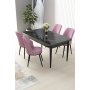 HANAH HOME Set Trpezarijski sto i 4 stolice Nil Black Marble Pink - slika 1