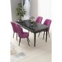 HANAH HOME Set Trpezarijski sto i 4 stolice Nil Black Marble Purple - slika 1
