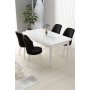 HANAH HOME Set Trpezarijski sto i 4 stolice Nil White Black - slika 1