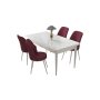HANAH HOME Set Trpezarijski sto i 4 stolice Nil White Burgundy - slika 2
