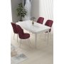 HANAH HOME Set Trpezarijski sto i 4 stolice Nil White Burgundy - slika 1