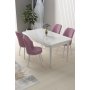 HANAH HOME Set Trpezarijski sto i 4 stolice Nil White Pink - slika 1