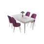 HANAH HOME Set Trpezarijski sto i 4 stolice Nil White Purple - slika 2