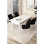 HANAH HOME Set Trpezarijski sto i 4 stolice Arp White Black - slika 1