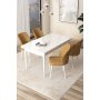 HANAH HOME Set Trpezarijski sto i 4 stolice Arp White Cappuccino - slika 1