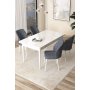 HANAH HOME Set Trpezarijski sto i 4 stolice Arp White Fume - slika 1