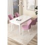 HANAH HOME Set Trpezarijski sto i 4 stolice Arp White Pink - slika 1