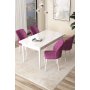 HANAH HOME Set Trpezarijski sto i 4 stolice Arp White Purple - slika 1