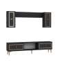 HANAH HOME TV polica Orion Anthracite Gold - slika 4