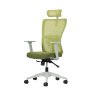 HANAH HOME Set 2 kancelarijske stolice Lumbar 126 Green - slika 4
