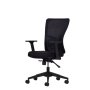 HANAH HOME Kancelarijska stolica Lumbar 108 Black - slika 3