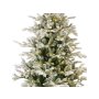 Everlands Grandis 240cm nasnežena novogodišnja jelka sa lampicama - slika 2