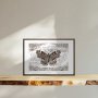 WALLXPERT Dekorativna slika TD125 - slika 1