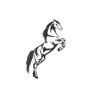 WALLXPERT Zidna dekoracija Wild Horse - slika 2