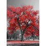 WALLXPERT Puzzle 1000PUZZLE 129 - slika 2