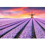 WALLXPERT Puzzle 500PUZZLE 090 - slika 2