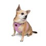 Paws & Whiskers Am za pse Air Mesh Lilac 3XS - slika 2
