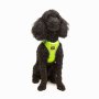 Paws & Whiskers Am za pse Air Mesh Neo Lime 3XS - slika 1