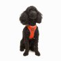 Paws & Whiskers Am za pse Air Mesh Neo Orange 3XS - slika 1