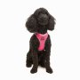 Paws & Whiskers Am za pse Air Mesh Neo Pink 3XS - slika 1
