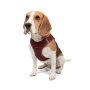 Paws & Whiskers Am za pse Air Mesh Claret Red 2XS - slika 4