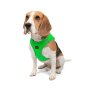 Paws & Whiskers Am za pse Air Mesh Neo Green 2XS - slika 3