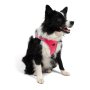 Paws & Whiskers Am za pse Air Mesh Neo Pink 2XS - slika 5