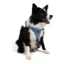 Paws & Whiskers Am za pse Air Mesh Blue XS - slika 4
