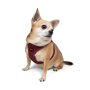 Paws & Whiskers Am za pse Air Mesh Claret Red XS - slika 3