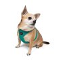 Paws & Whiskers Am za pse Air Mesh Emerald XS - slika 3