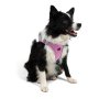 Paws & Whiskers Am za pse Air Mesh Lilac XS - slika 5