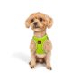 Paws & Whiskers Am za pse Air Mesh Neo Lime XS - slika 4