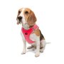 Paws & Whiskers Am za pse Air Mesh Neo Pink XS - slika 2